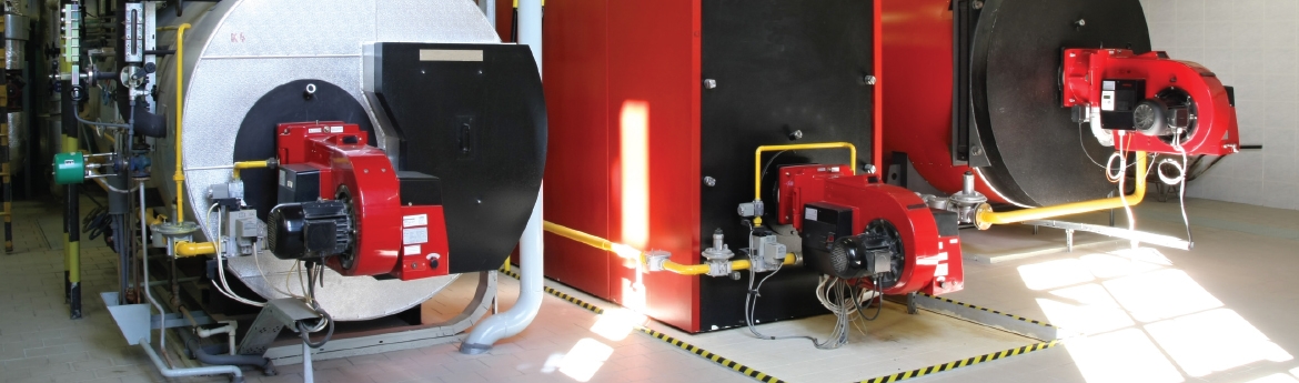 What are advantages: PALGAZ for Industries?